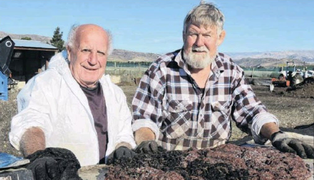 Worms Linnburn Station Robbie Dick