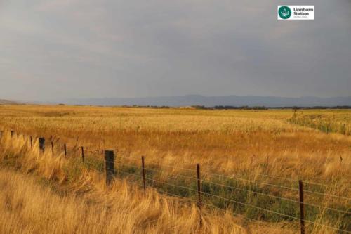 regenerative agriculture