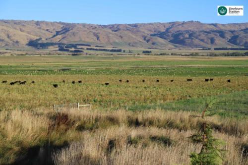 regenerative agriculture