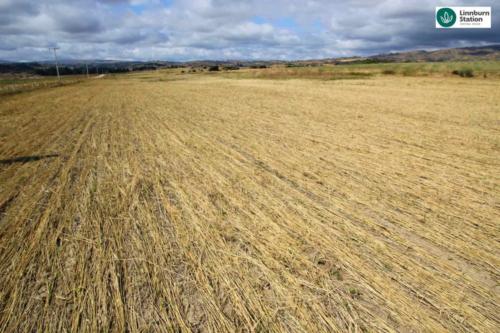 Crimping roller cycling nutrients to improve soil health