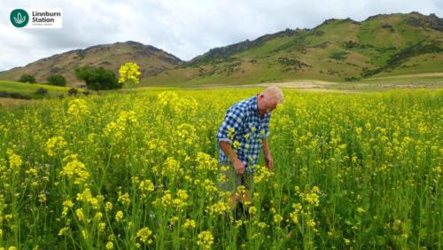 regenerative agriculture